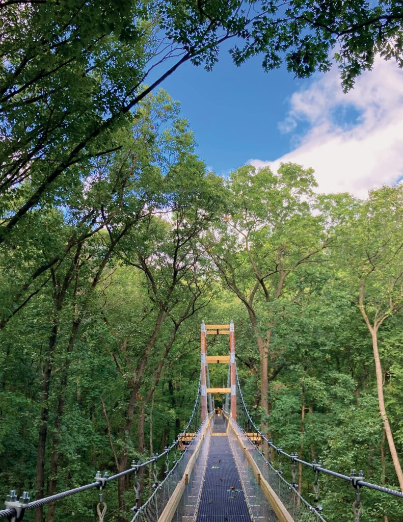 Canopy Walk